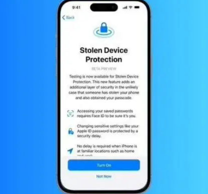 老河口苹果授权维修店分享被盗设备保护功能开启方法 