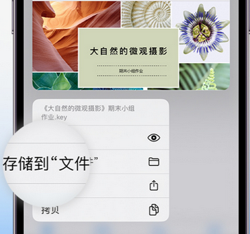 老河口apple维修中心分享iPhone文件应用中存储和找到下载文件