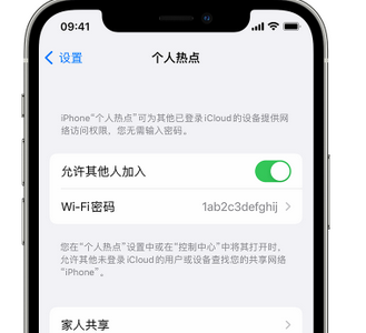 老河口apple服务站点分享iPhone上个人热点丢失了怎么办 