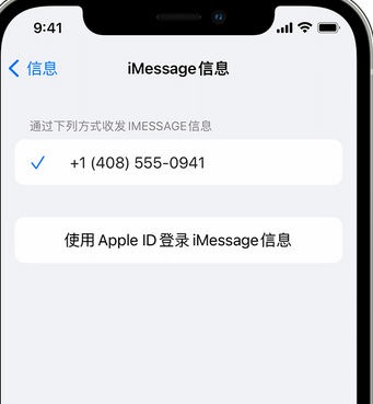 老河口apple维修iPhone上无法正常发送iMessage信息 