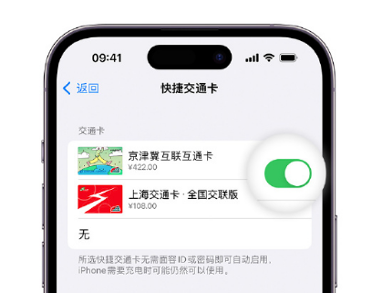 老河口apple维修点分享iPhone上更换Apple Pay快捷交通卡手绘卡面 