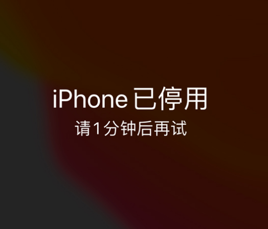 老河口苹果手机维修分享:iPhone 显示“不可用”或“已停用”怎么办？还能保留数据吗？ 