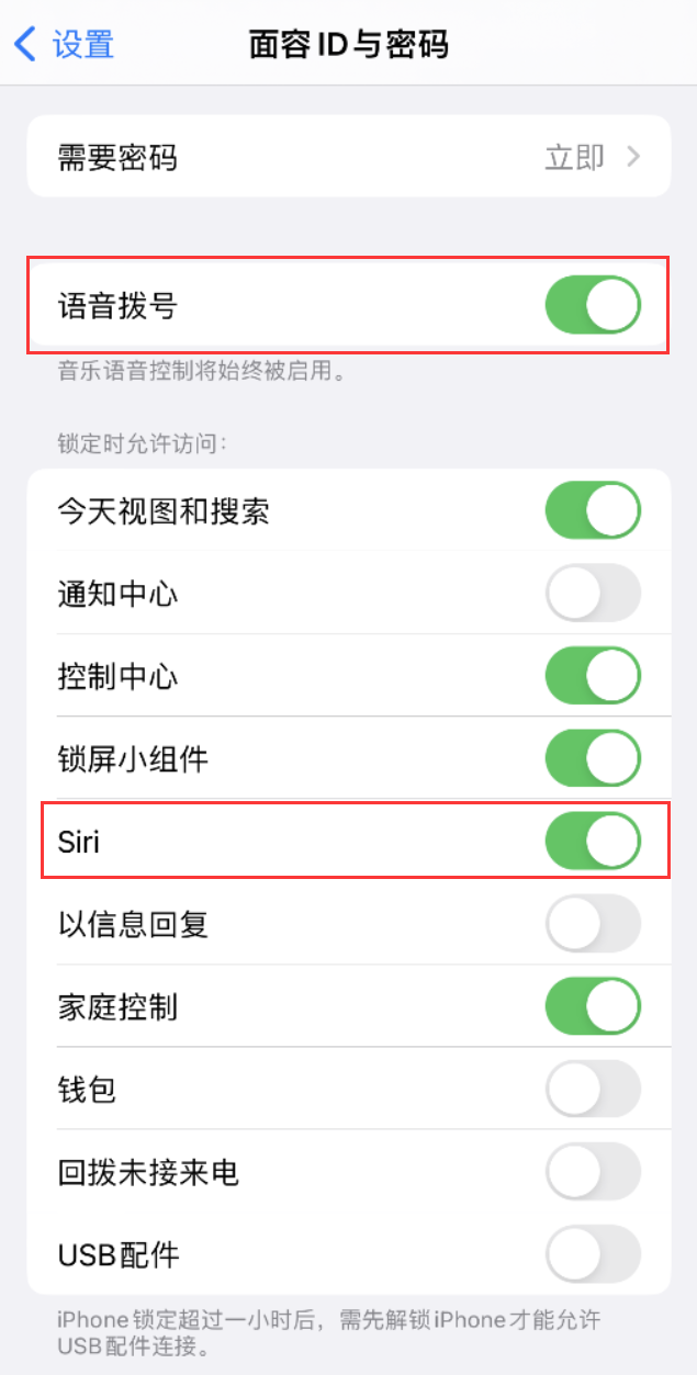 老河口苹果维修网点分享不解锁 iPhone 的情况下通过 Siri 拨打电话的方法 