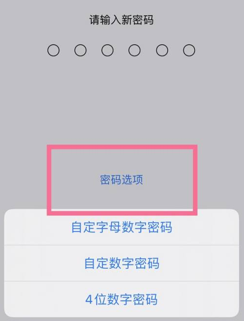 老河口苹果14维修分享iPhone 14plus设置密码的方法 