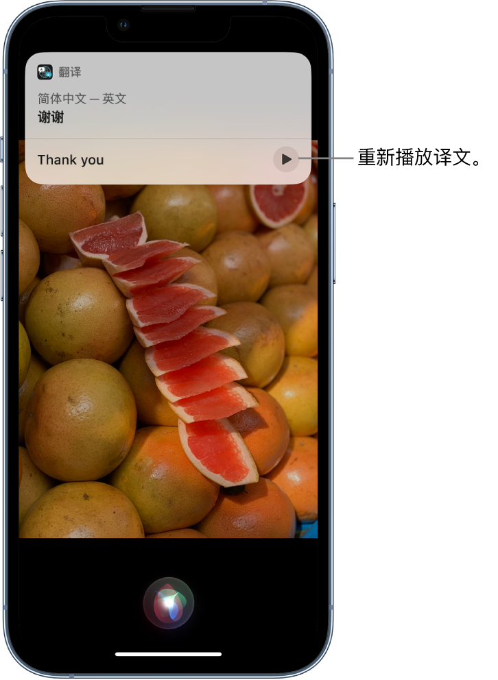 老河口苹果14维修分享 iPhone 14 机型中使用 Siri：了解 Siri 能帮你做什么 