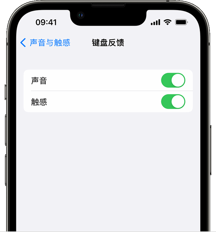 老河口苹果14维修分享iPhone 14 系列机型如何开启键盘声音或触感反馈 