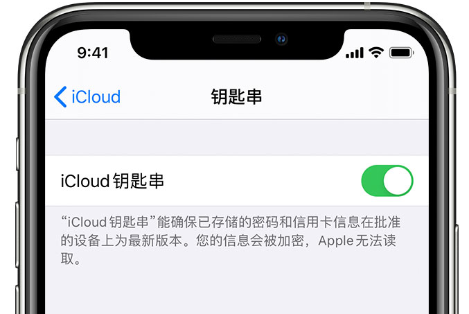 老河口苹果手机维修分享在 iPhone 上开启 iCloud 钥匙串之后会储存哪些信息 