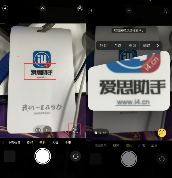 老河口苹果手机维修分享升级iOS 16后如何通过相机翻译文本 