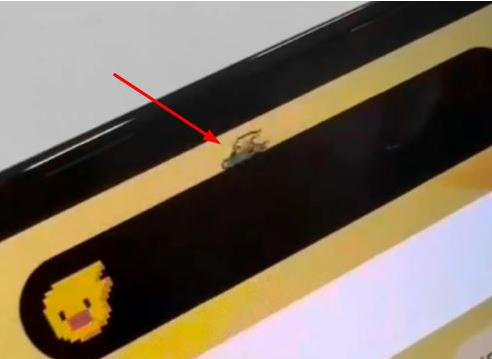 老河口苹果14维修分享iPhone 14 Pro Max灵动岛怎么养宠物 