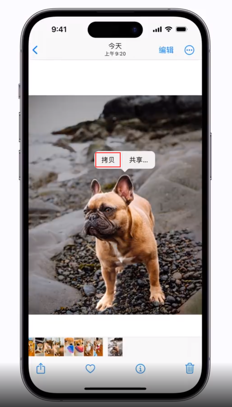 老河口苹果手机维修分享 iOS 16 自带一键抠图功能 
