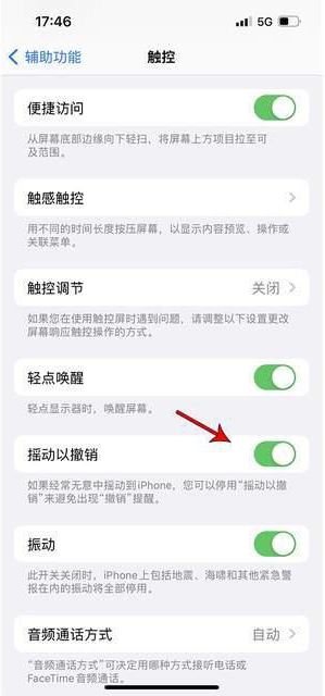 老河口苹果手机维修分享iPhone手机如何设置摇一摇删除文字 