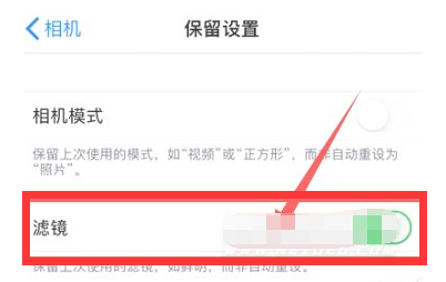老河口苹果13维修分享iPhone13拍照有绿点是怎么回事 