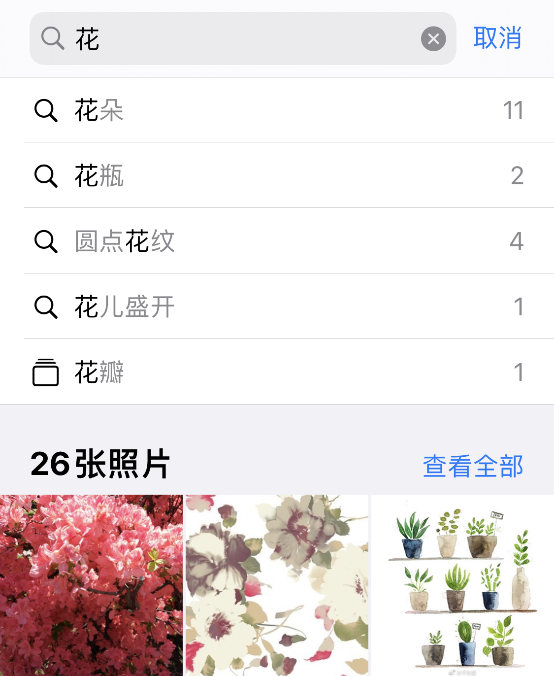 老河口苹果手机维修分享iPhone 小技巧 