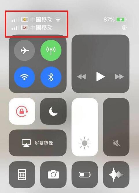 老河口苹果手机维修分享为 iPhone 12 双卡设置标签 