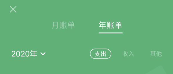 老河口苹果手机维修分享如何在 iPhone 上查看支付宝和微信年支出账单 